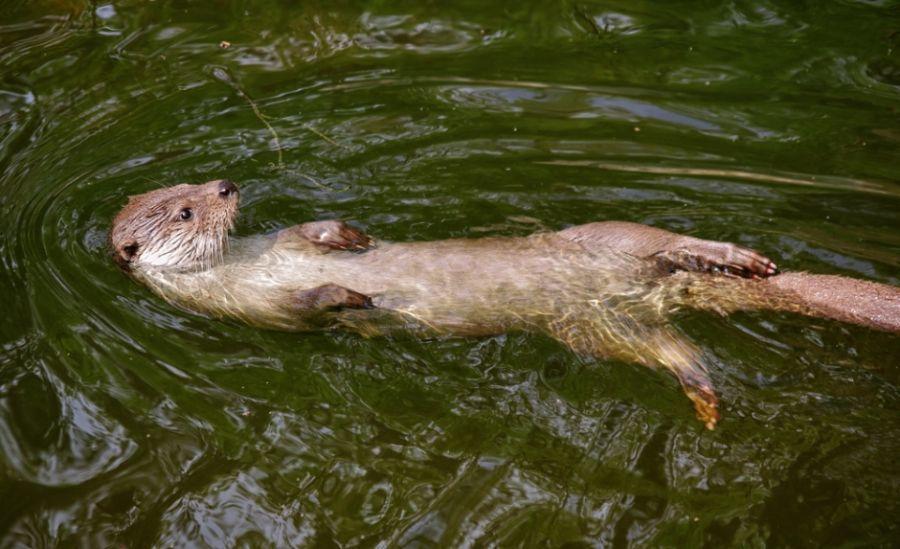 Sete Quintas มิรานดา โด คอร์โว ภายนอก รูปภาพ